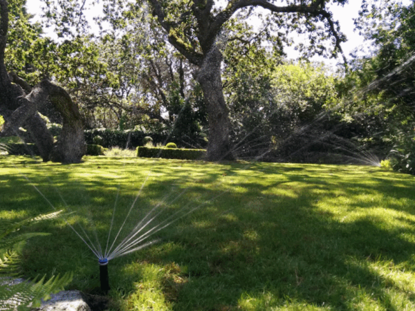 Como escolher entre irrigação manual e sistema automatizado para jardim?
