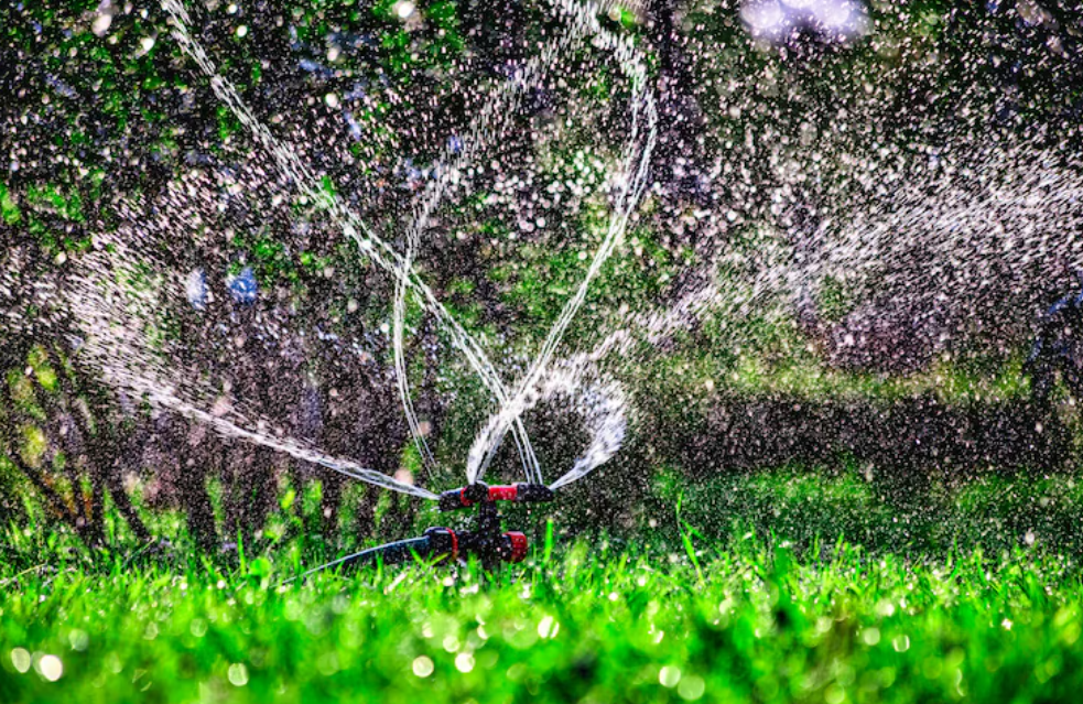 Irrigação por gotejamento ou aspersão: qual economiza mais água?