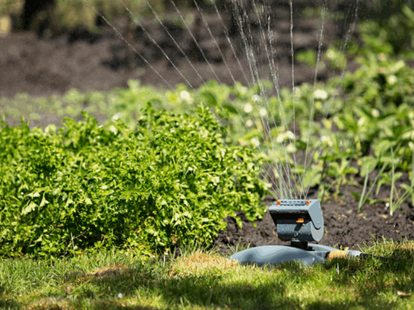 Irrigação automática: quando usar e quais equipamentos são ideais?
