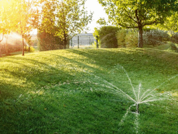 Como evitar o desperdício de água no jardim com irrigação eficiente?