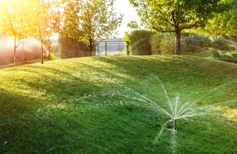 Como evitar o desperdício de água no jardim com irrigação eficiente?
