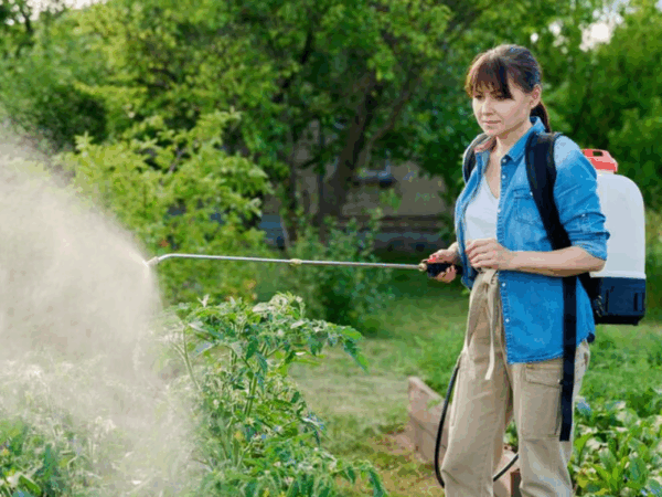 Pulverizador costal: quando usar na jardinagem doméstica?