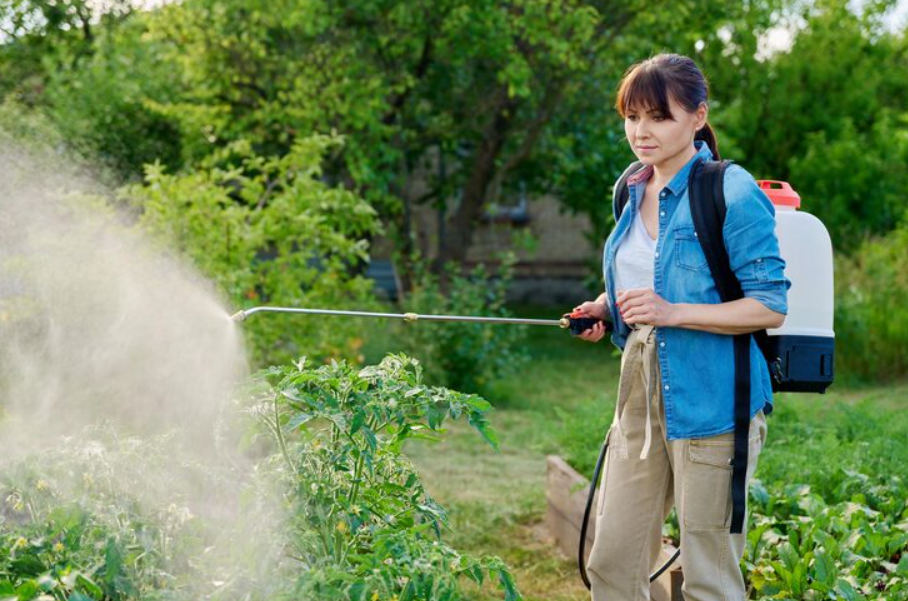 Pulverizador costal: quando usar na jardinagem doméstica?