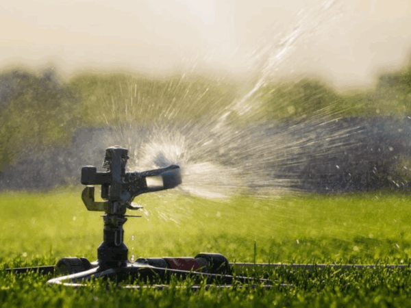 Filtro de irrigação: para que serve e por que é essencial?