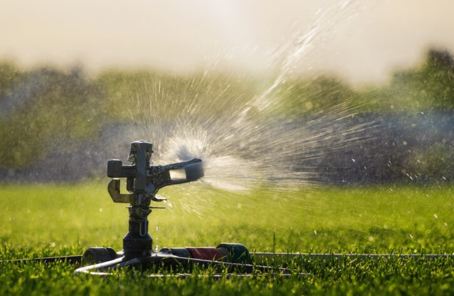 Filtro de irrigação: para que serve e por que é essencial?