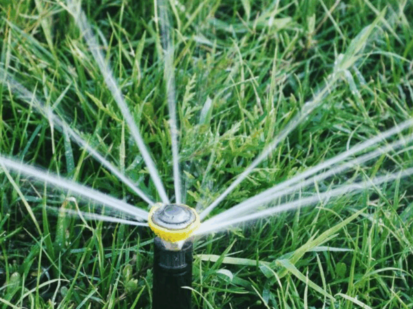 Microaspersor: quando é mais eficiente na irrigação?