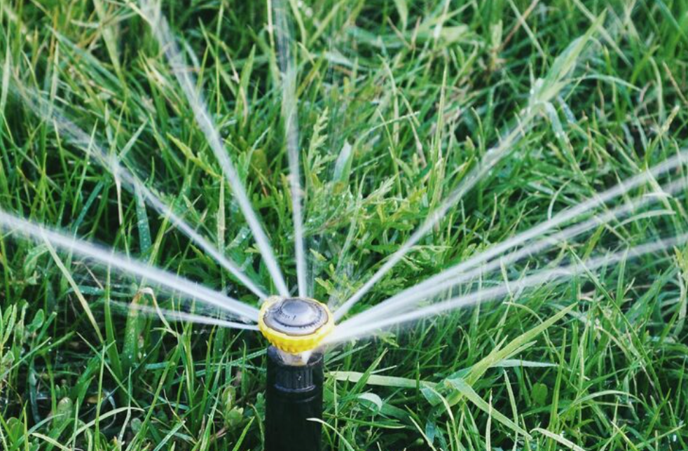 Microaspersor: quando é mais eficiente na irrigação?