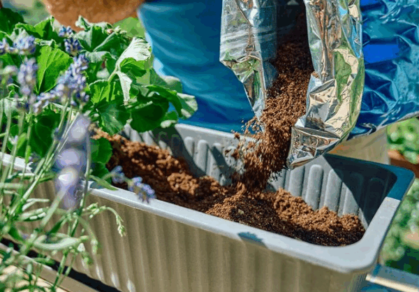 Adubo líquido ou granulado: qual o melhor para o jardim?