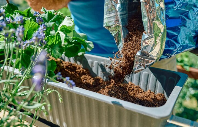 Adubo líquido ou granulado: qual o melhor para o jardim?