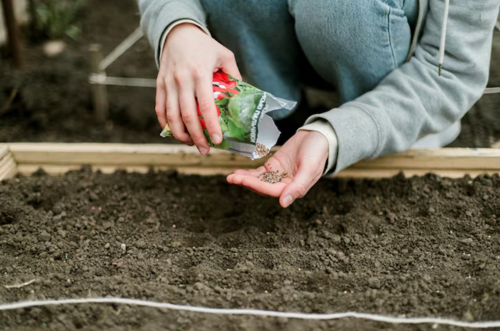Como preparar o solo com condicionadores antes de plantar?