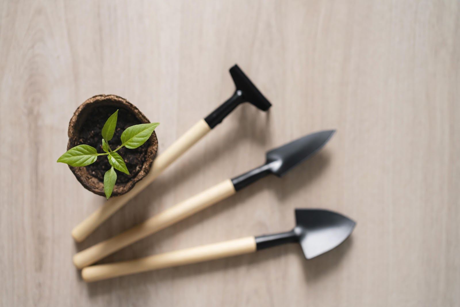 Como escolher a pá de jardinagem ideal: bico, corte ou tradicional?